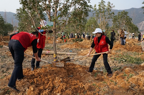 臺州所 植樹現場3_副本.jpg